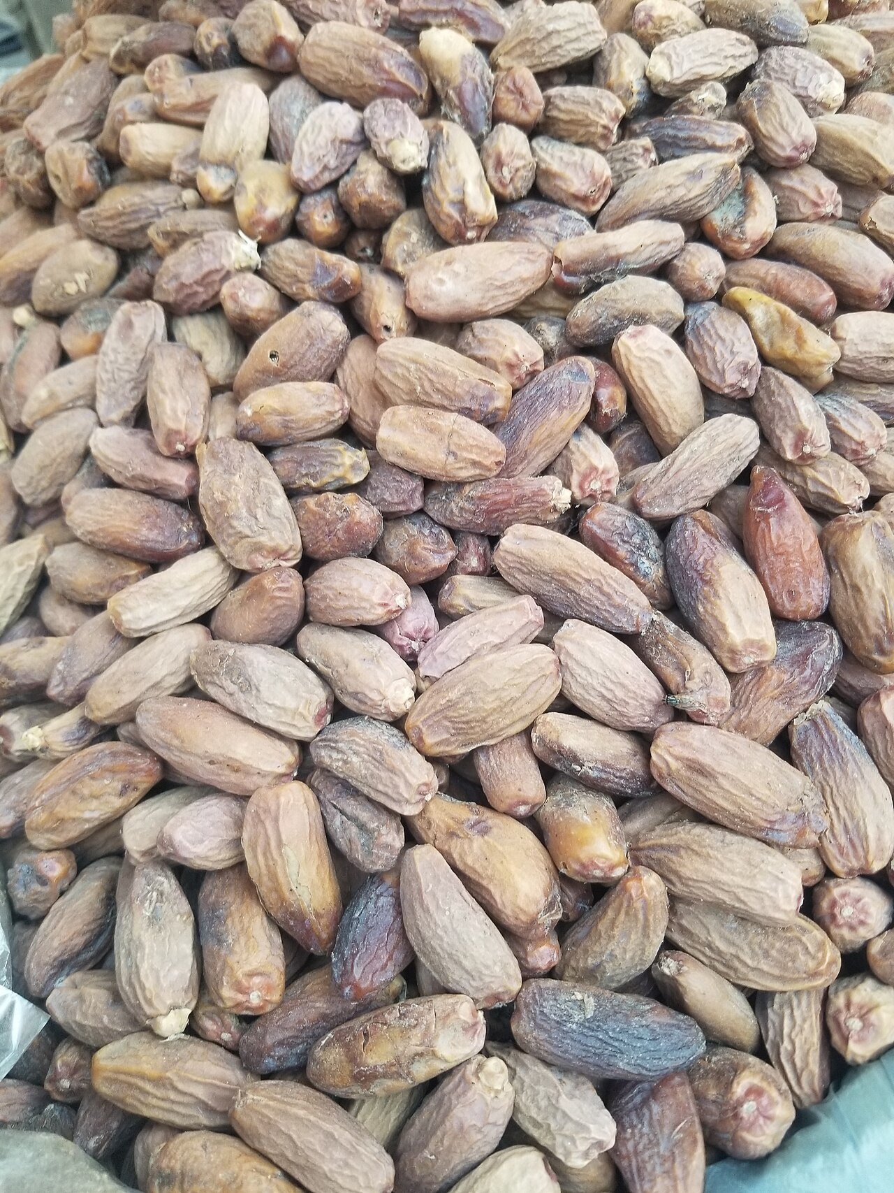 Glossy dried dates on a neutral surface